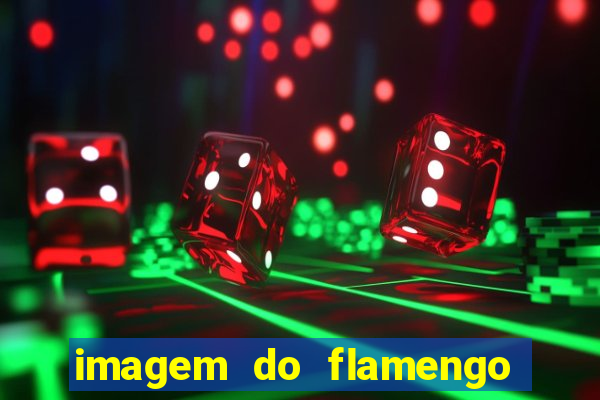 imagem do flamengo para perfil